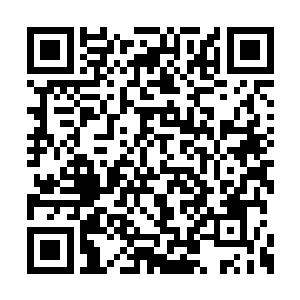 杨晨赫然出现在了他的面前带着一丝怪异的微笑二维码生成