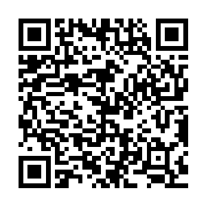 杨晨还在为灵术辅助释放系统和灵库在实用中出现的问题头疼呢二维码生成