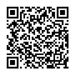 杨晨这个万年前已经死了的人……又重新出现了二维码生成