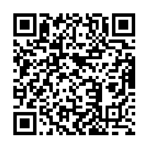 杨晨这时才注意到原来这玄冰兽和一般的玄冰兽不同二维码生成