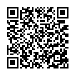 杨晨首先将炼器所需的材料从投料口投入投料室二维码生成