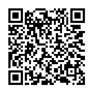 杨柔和杨林的话更让他感觉到绝对不能放弃杨柔和杨林二维码生成