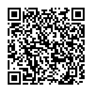 杨柳当年可是和华阳散人一起过来一块砖一片瓦的把道观给建成的大功臣二维码生成