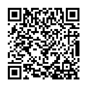 杨柳见侯卫东极为认真的翻看着昌全书记的讲话二维码生成