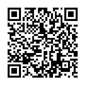 杨欣和欧阳若兰的手里面都是出现了一个金光闪闪的金饭碗二维码生成