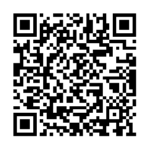 杨正峰望着虚空之中不断的转动的太极图案之后二维码生成