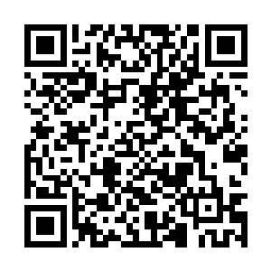 杨民杨仔细的回忆着之前柳清浅在空中抚琴的动作二维码生成