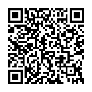 杨洛一群人在处理厂的外围快速向人工丛林移动二维码生成