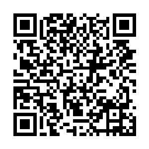 杨洛抓住贝音瑶的手站在这栋古色古香的别墅门口二维码生成