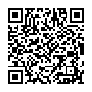 杨洛看着叶天明他们消失在暴风雪里的身影说道二维码生成