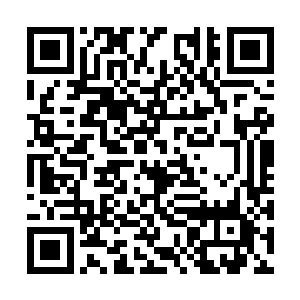 杨洛说完把一具尸体上的雨衣扒下来套在自己身上二维码生成