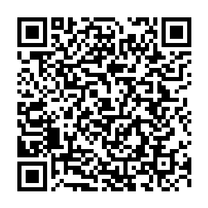 杨淑琴用疑惑的目光打量了几眼一来就一直面带微笑己的陌生男人二维码生成