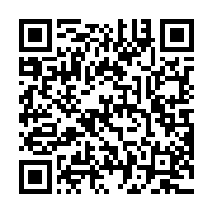 杨然顿时来到杨戬的面前有些惊激动的望着杨戬开口道二维码生成
