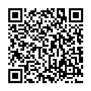 杨燕妮带着警察和国安的人在果园里将那个果农摁在了地上二维码生成