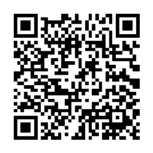 杨燕妮拿起桌子上的一摞案卷就要照着莫小鱼投过去二维码生成