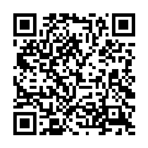 杨燕妮此时再也顾不得有人会听到自己家里的声响了二维码生成