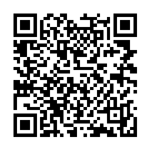 杨珊不就是那日在三王府内帮着自己说话的姑娘吗二维码生成