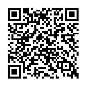 杨真人此言当真一点都不顾念和宗家香火之情吗二维码生成