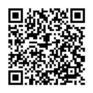 杨笑这个五军都督府的中军右都督却是显得有些无奈的二维码生成