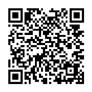 杨老爷子退休以后一直住在那处很普通的四合院中二维码生成