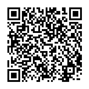 杨蕊十分得意的带着林子涛去以前吓过它的小动物们面前溜了一圈二维码生成
