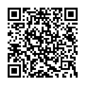 杨蜜觉得这个死胖子从来没有像今天这么讨厌过二维码生成