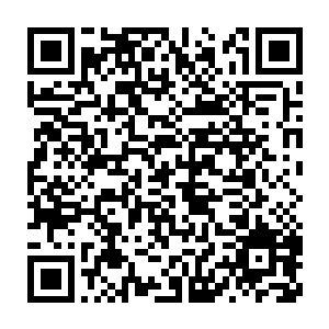 杨辰你不要只守不攻啊他就是仗着你只在保护我们才这么肆无忌惮二维码生成