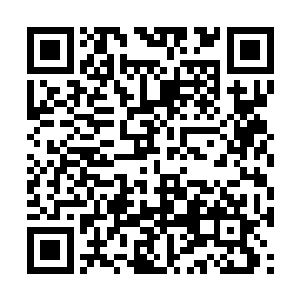 杨辰完全可以自己一个人杀光周光年与许智宏等人二维码生成