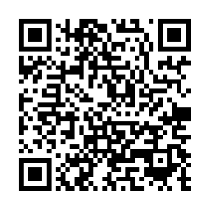杨辰就会对这个漂亮的有些不像话的nv人产生古怪的亲切感二维码生成