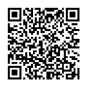 杨辰开着车带林若溪与蓝蓝来到离家较近的云华幼儿园二维码生成