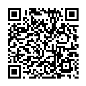 杨辰才大胆地将林若溪按在了厚厚的钢化玻璃上二维码生成