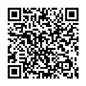 杨辰的一只手用巧劲在林若溪的后颈上打击了下二维码生成