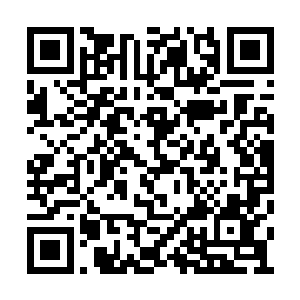 杨辰的往念衍生经真气自如地疯狂在经脉中运转二维码生成