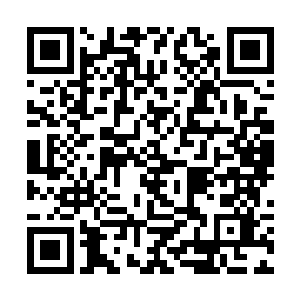 杨辰的手上凝聚着足以把滑瓢的身体拍成碎末的劲道二维码生成