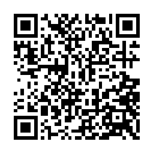 杨辰看到这个女人这样居家的打扮站在自己面前二维码生成