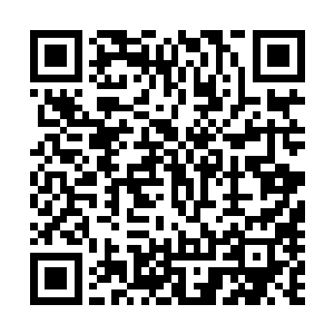 杨辰看着蔷薇如同一个发现新奇玩具的孩子一般开心的笑着二维码生成