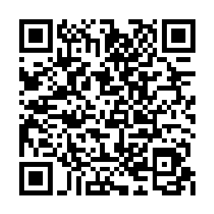 杨辰立马将晚上去跟蓝飞切磋指点的事情说了遍二维码生成