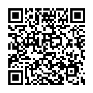 杨辰苦恼地望了眼一旁装作什么也不知道的安心二维码生成