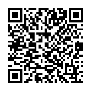 杨辰被脸上冰冷而柔软的触感刺ji地浑身热血沸腾二维码生成