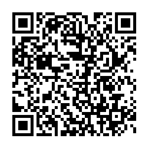 杨道友说的是那两位至交好友可是之前的时候跟你在一起的那两位二维码生成
