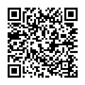 杨铎明应该就喜欢玉熙那种气质高温柔又有才学的女子二维码生成