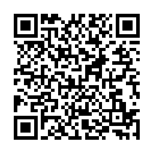杨锋的心腹和那些背叛家族的管事都清洗完毕了吗二维码生成