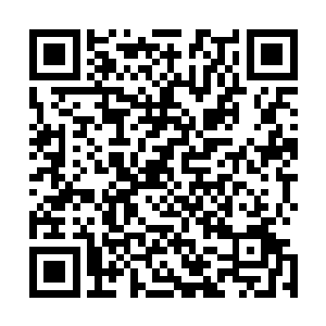 杨锐也不知道怎么能增加合乎要求的牛视紫红质蛋白的数量二维码生成