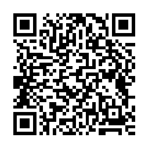 杨锐也无法确定现在的黄茂是否能赢下与理查德的科研的竞赛二维码生成