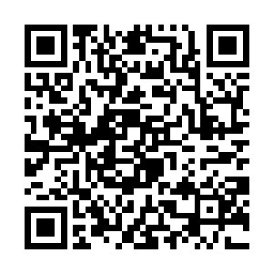 杨锐其实也不准备让遗传工程实验室的年利润刷起来二维码生成