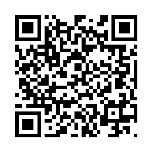 杨锐决定让第一版的PCR的缺点少一点二维码生成