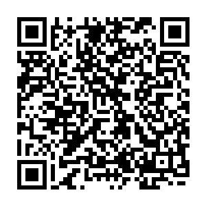 杨锐就是想抄一些厉害的文章也很困难――高质量的论文往往需要高质量的引用二维码生成