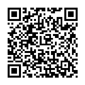 杨锐想要好的科研环境和尽可能充沛的实验条件二维码生成