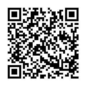 杨锐最初在唐集中实验室选择分子机理做研究方向二维码生成