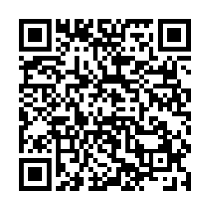 杨锐的中国人身份也并不是销售公司愿意力捧的类型二维码生成